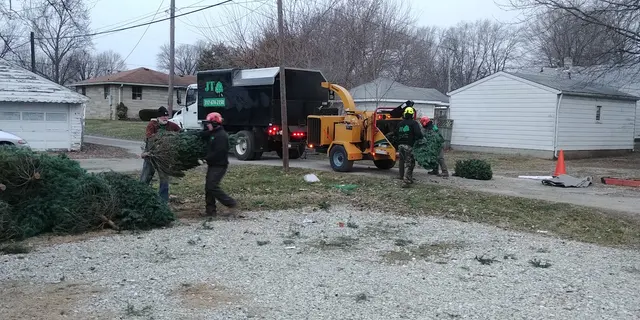 JT Tree Service — customer photo 3