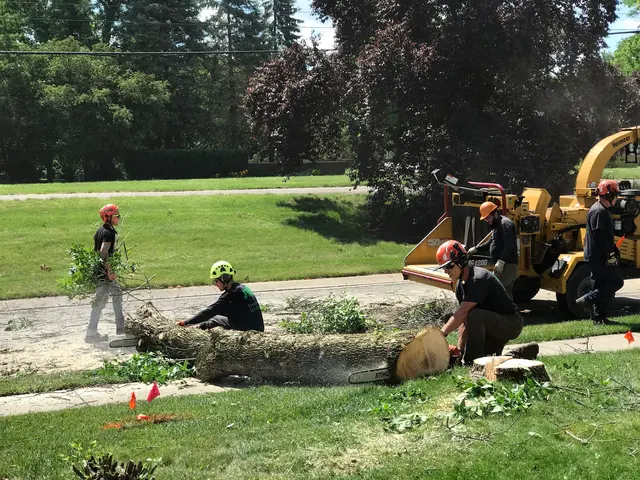JT Tree Service — customer photo 6