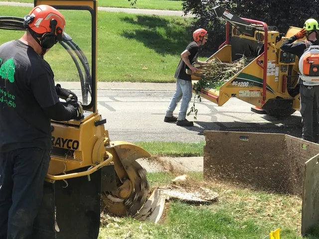 JT Tree Service — customer photo 9