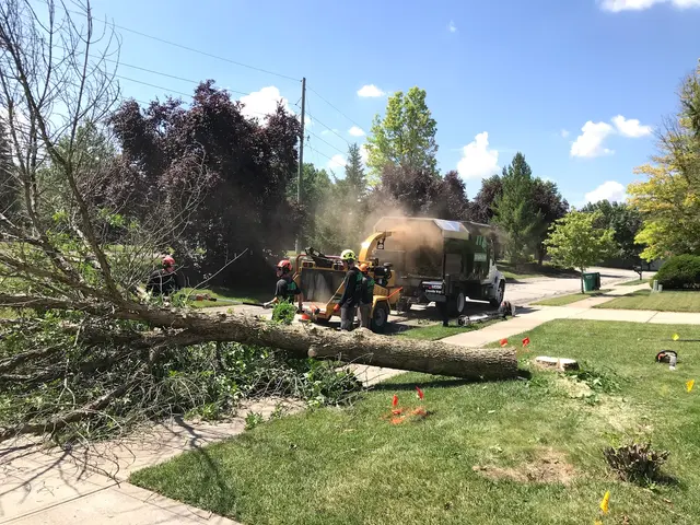 JT Tree Service — customer photo 5