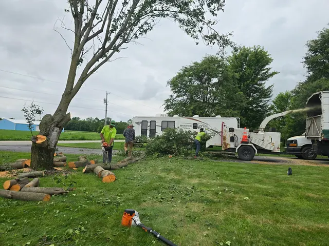 DC Tree Services LLC — photo from the business 10