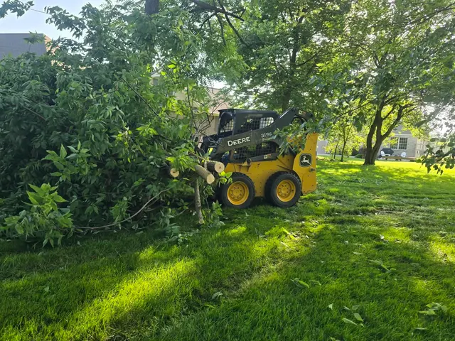 DC Tree Services LLC — photo from the business 7