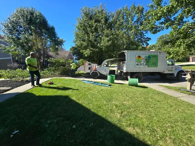 DC Tree Services LLC — photo from the business 5