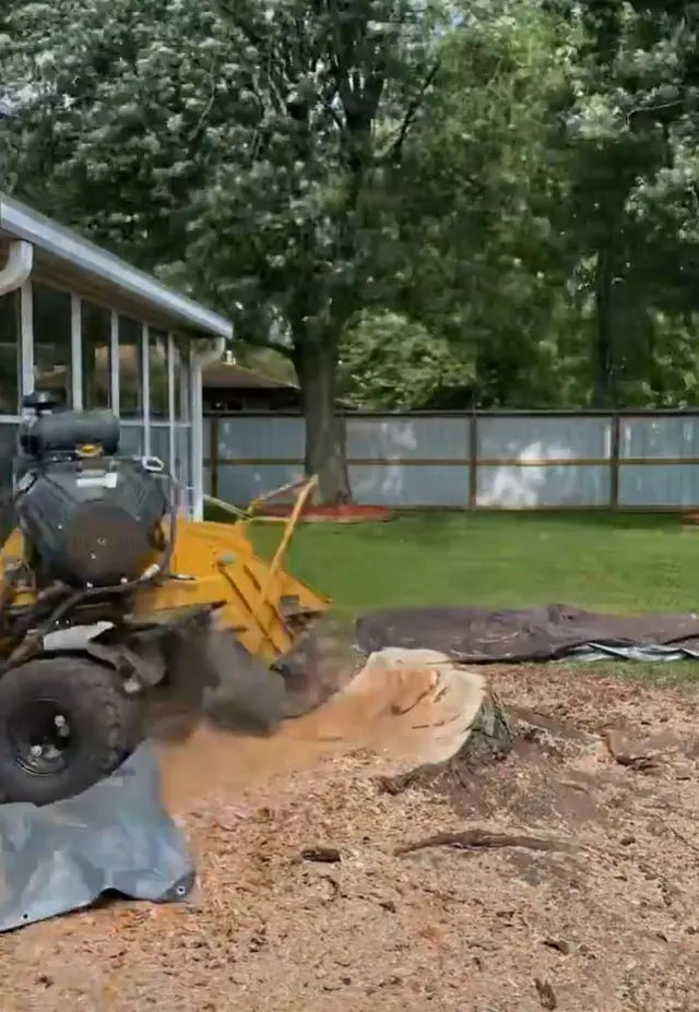 Indiana Stump Remover — photo from the business 8