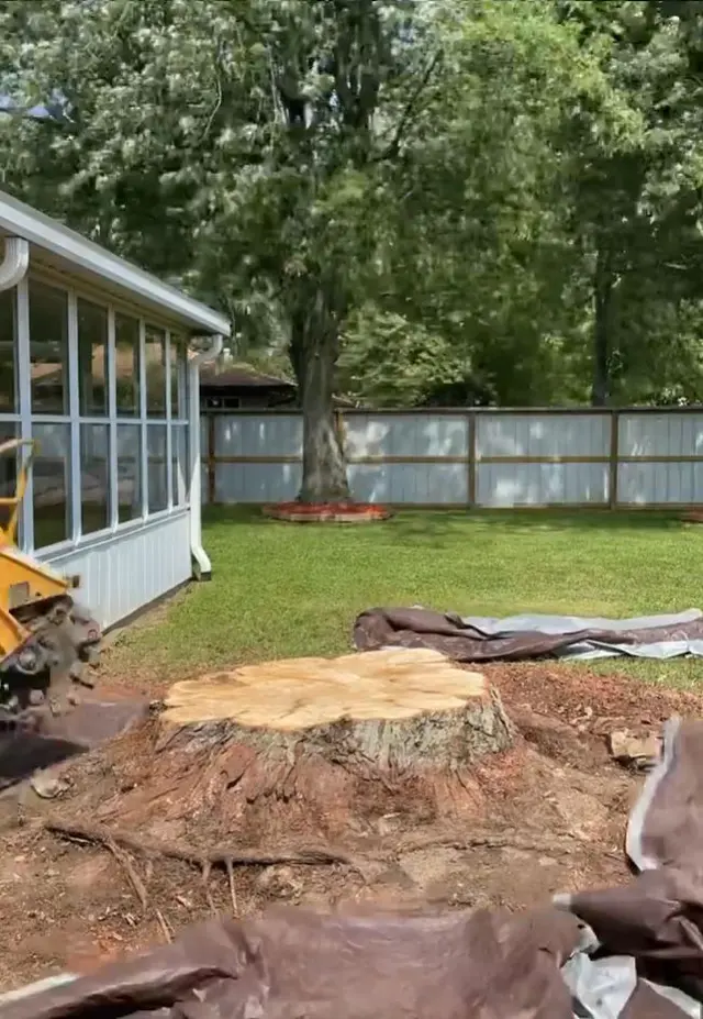 Indiana Stump Remover — photo from the business 3
