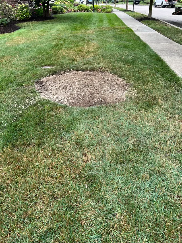 Indiana Stump Remover — customer photo 5