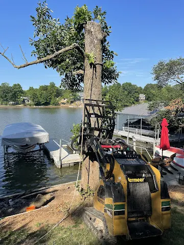 Indiana Stump Remover — photo from the business 11