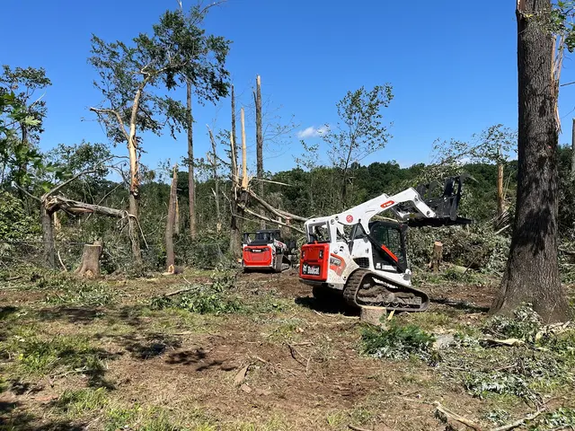 Indiana Stump Remover — photo from the business 10