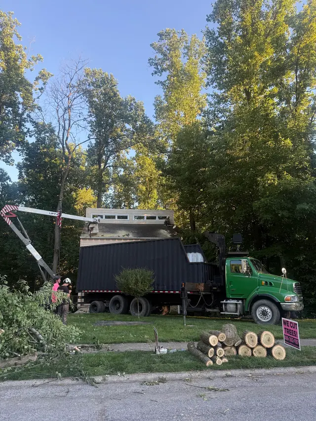 Indiana Stump Remover — photo from the business 1