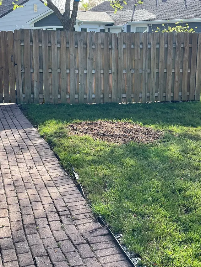 Customer photo of work by Miller’s Stump Grinding, from G Justus's review