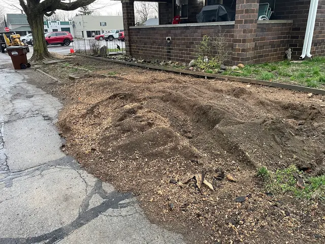 Miller’s Stump Grinding — photo from the business 4