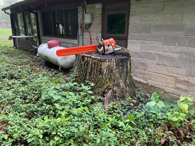 Miller’s Stump Grinding — photo from the business 10