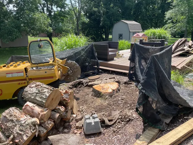 Miller’s Stump Grinding — photo from the business 7