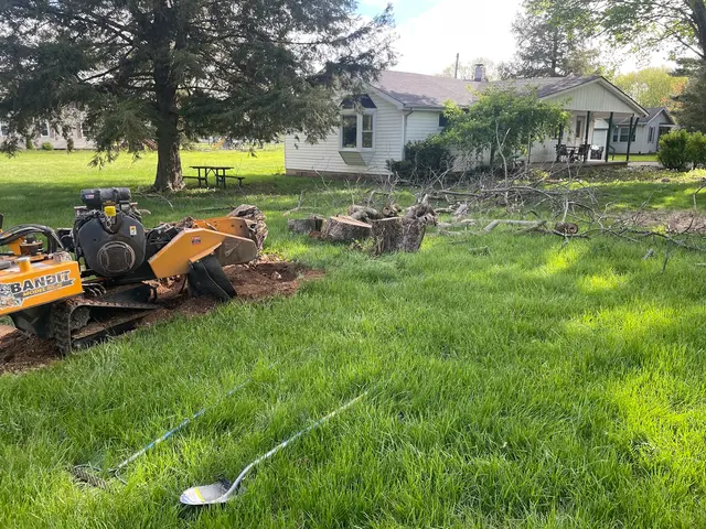 Miller’s Stump Grinding — photo from the business 6