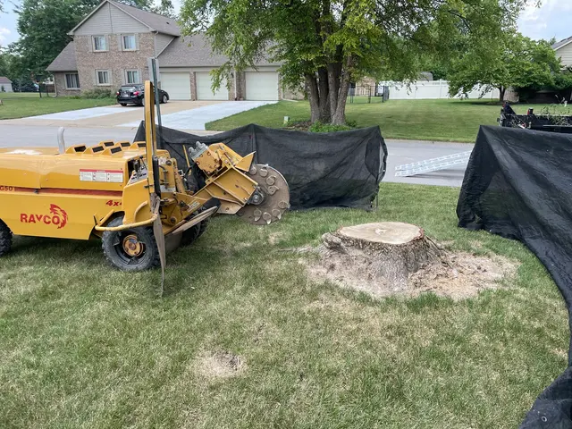 Miller’s Stump Grinding — photo from the business 5