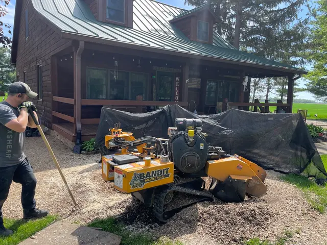 Miller’s Stump Grinding — photo from the business 8