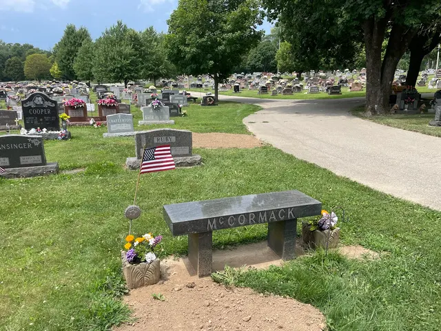 Miller’s Stump Grinding — photo from the business 11