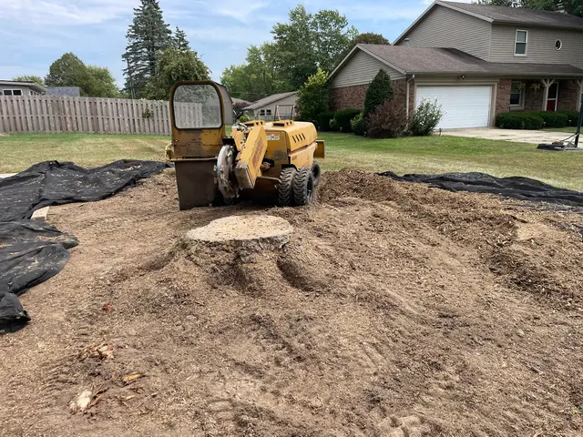 Miller’s Stump Grinding — photo from the business 1