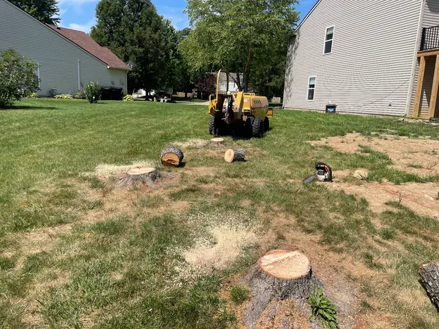 Miller’s Stump Grinding — photo from the business 2