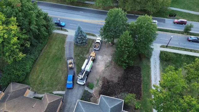 A Tree's Worth Tree Care — photo from the business 12