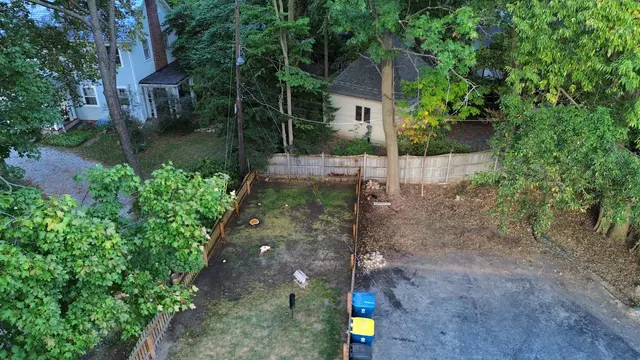A Tree's Worth Tree Care — photo from the business 8