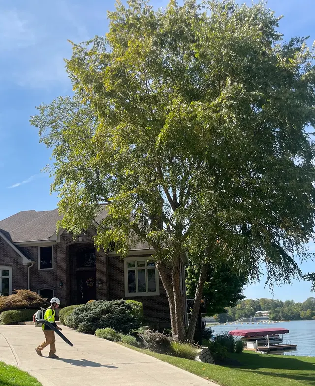 A Tree's Worth Tree Care — photo from the business 6