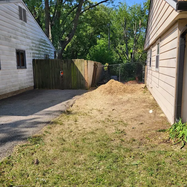 Customer photo of work by A Tree's Worth Tree Care, from Jim Strange's review
