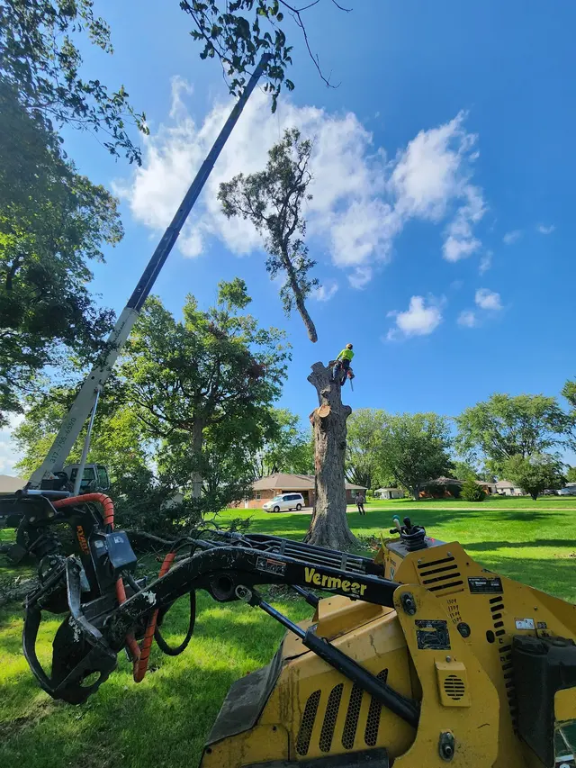 ASAP Tree and Crane Services — photo from the business 10