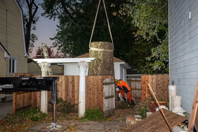 ASAP Tree and Crane Services — photo from the business 8