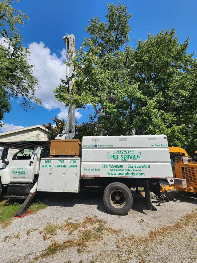 ASAP Tree and Crane Services — photo from the business 4