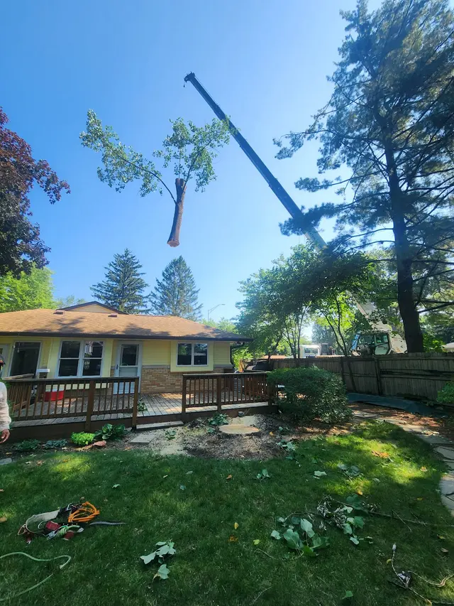 ASAP Tree and Crane Services — photo from the business 5
