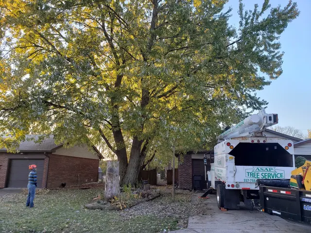 ASAP Tree and Crane Services — photo from the business 9