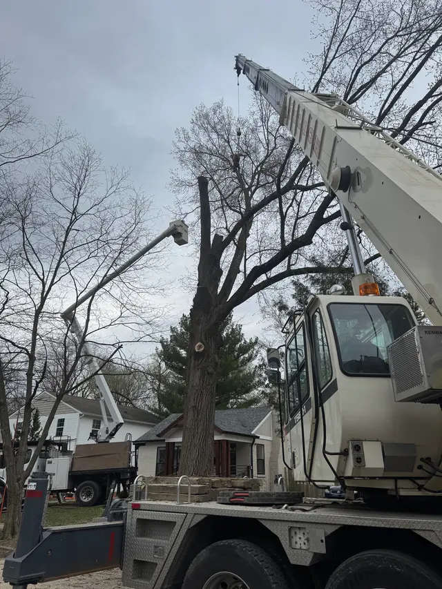 Engledow Tree Experts LLC — photo from the business 2