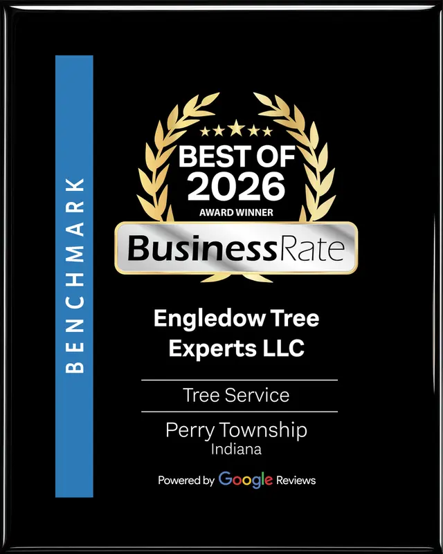 Engledow Tree Experts LLC — photo from the business 1