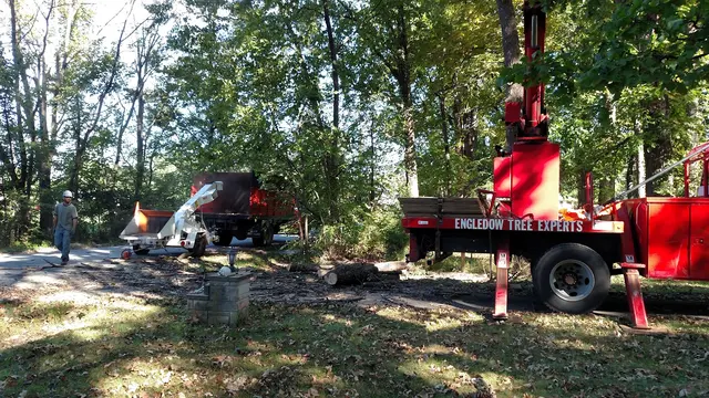 Engledow Tree Experts LLC — customer photo 9