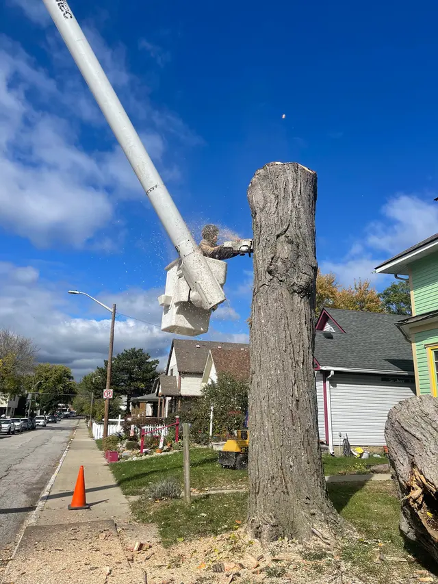 Engledow Tree Experts LLC — photo from the business 6