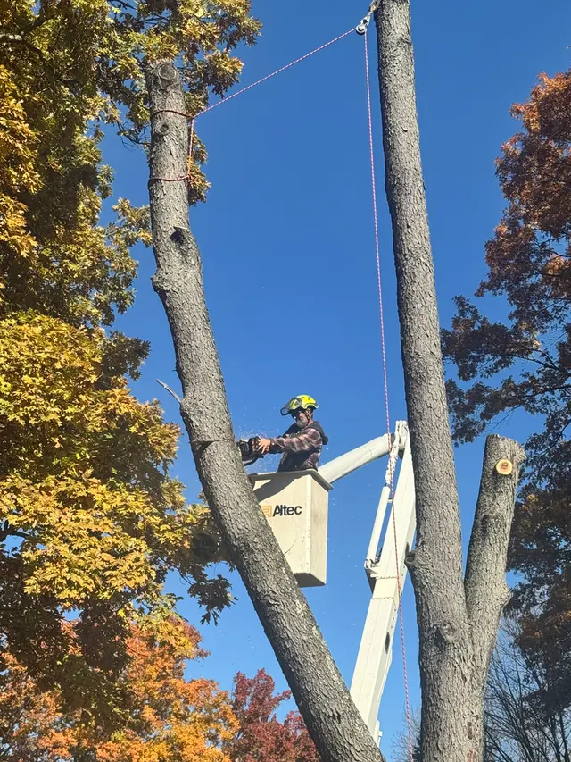 Engledow Tree Experts LLC — photo from the business 10