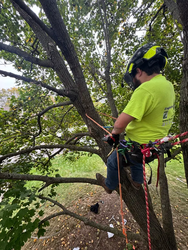 Engledow Tree Experts LLC — photo from the business 11