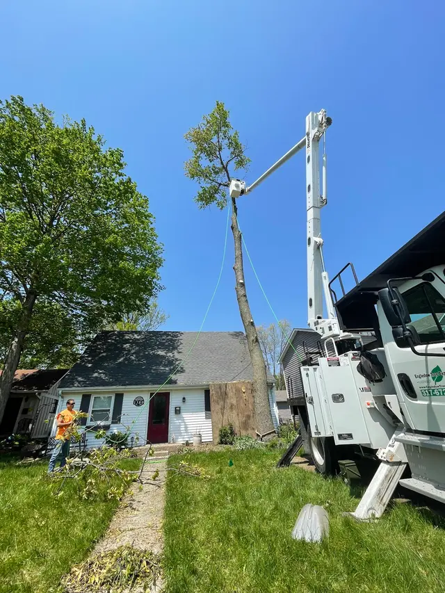 Engledow Tree Experts LLC — photo from the business 8