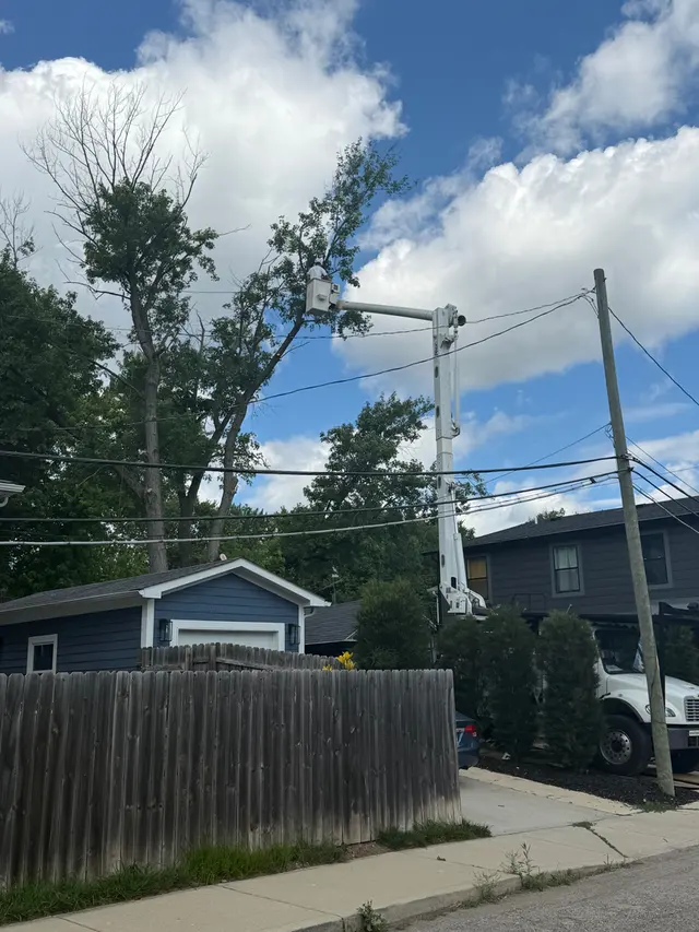 Engledow Tree Experts LLC — photo from the business 3
