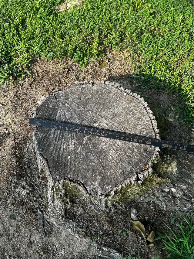 Bowman Boys Stump Removal — customer photo 12