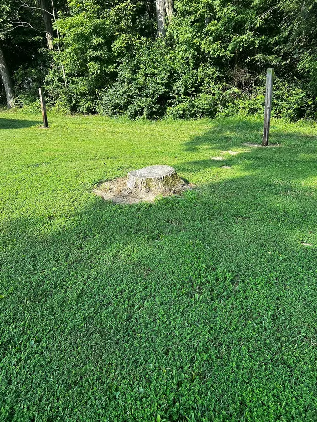 Bowman Boys Stump Removal — customer photo 7
