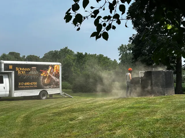 Customer photo of work by Bowman Boys Stump Removal, from Diane Allen's review