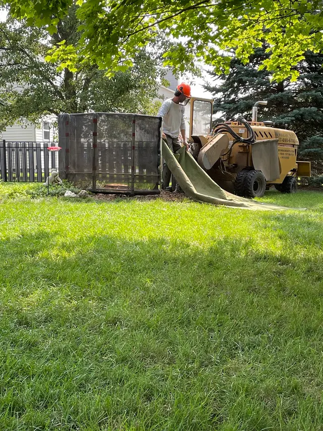 Bowman Boys Stump Removal — customer photo 8