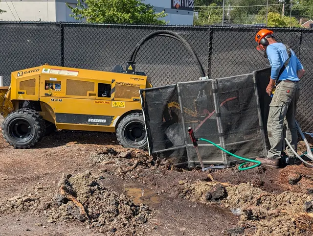 Bowman Boys Stump Removal — customer photo 6