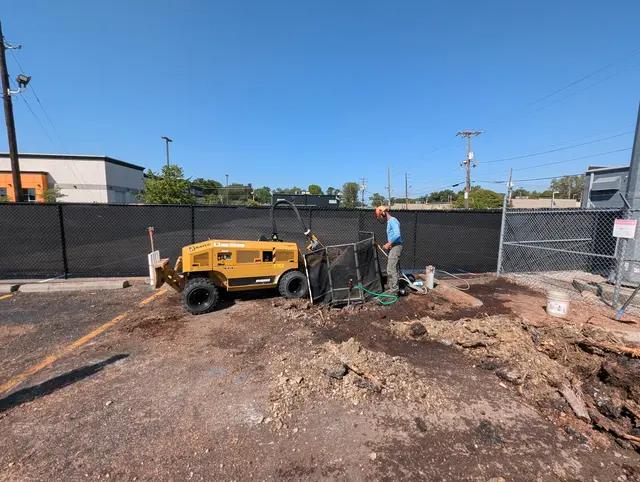 Bowman Boys Stump Removal — customer photo 5