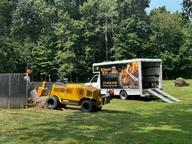 Bowman Boys Stump Removal — customer photo 2