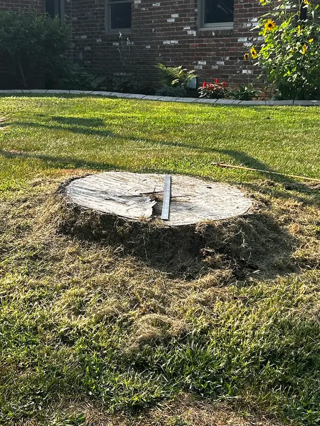 Bowman Boys Stump Removal — customer photo 1