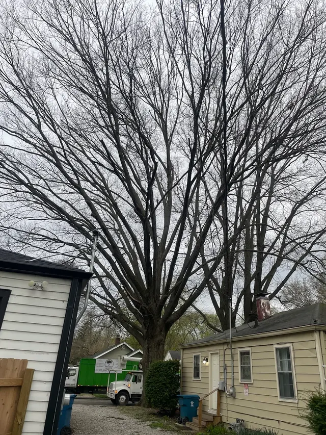 PR Tree Service — photo from the business 9