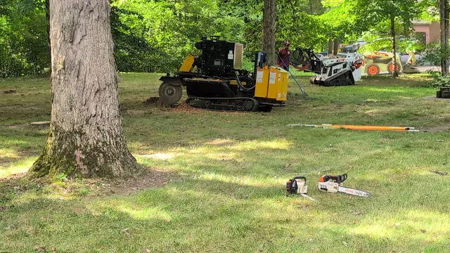 PR Tree Service — customer photo 12